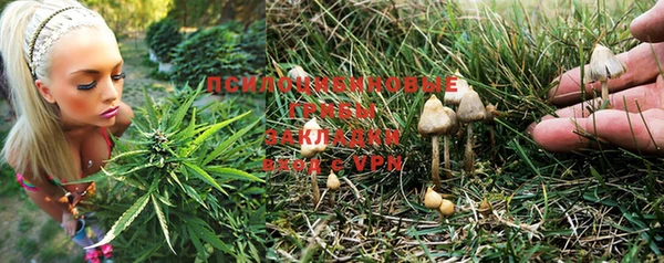 mix Новодвинск